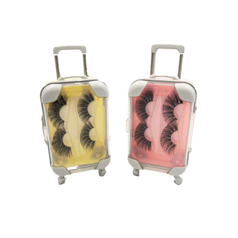 Creative Spot Two-Pair Eyelash Mini Trolley Case Eyelash